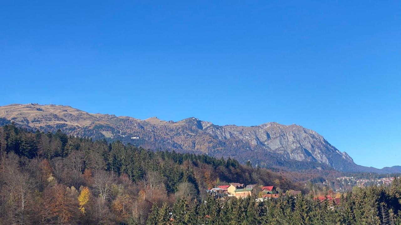 Perfect View Apartment Sinaia Kültér fotó