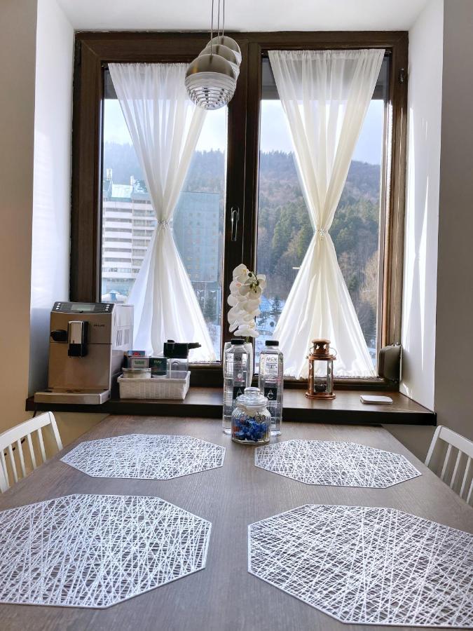 Perfect View Apartment Sinaia Kültér fotó